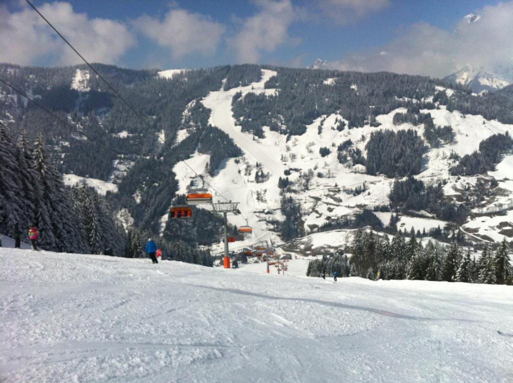 Designer-chalets * Dienten am Hochkoenig